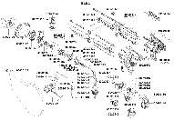 IBLS 31